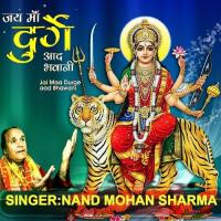 De De Rakhri Nand Mohan Sharma Song Download Mp3