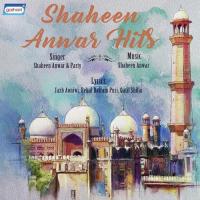 Ek Halki Se Shaheen Anwar Song Download Mp3