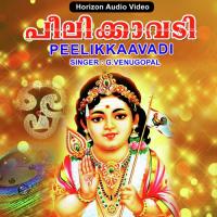 Arul Mozhiyil G. Venugopal Song Download Mp3