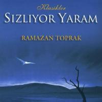 Söyle Dostum  Ramazan Toprak Song Download Mp3