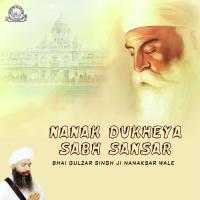 Simro Simar Simar Sukh Pavoh Bhai Gulzar Singh Ji Nanaksar Wale Song Download Mp3