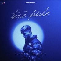 Tere Piche Jayb Singh Song Download Mp3