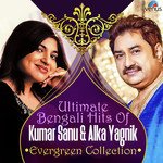 Ae Baar Pujoy Chayee Alka Yagnik Song Download Mp3