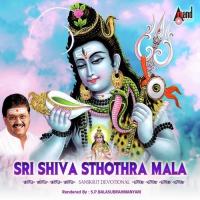 Vishweshwaraya S.P. Balasubrahmanyam Song Download Mp3