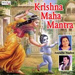 Aarti Kunj Bihari Ki Anuradha Paudwal Song Download Mp3