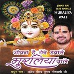 Tu Hai Mohan Mera Main Diwana Tera Shradheya Gaurav Krishan Goswami Ji Song Download Mp3