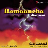 Mussanje Musukidhe C. Aswath,B.R. Chaya Song Download Mp3