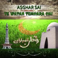 Ye Watan Tumhara Hai Asghar Sai Song Download Mp3