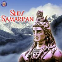 Purusha Suktam (Shiva) Vighnesh Ghanapaathi,Gurumurthi Bhat,Shridhara Bhat Vedadhara Song Download Mp3