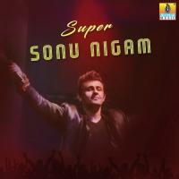 Cheluve Nanage Neenu (From "Preethislebeku") Sonu Nigam,Nanditha Song Download Mp3