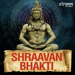 Shiv Panchakshar Stotra Anuradha Paudwal Song Download Mp3