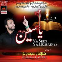 Ale Muhammad Shehbaz Haideri Song Download Mp3