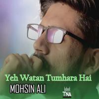 Yeh Watan Tumhara Hai Mohsin Ali Song Download Mp3