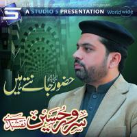 Hazoor Jantey Hain Alhaj Sarwar Hussain Naqshbandi Song Download Mp3