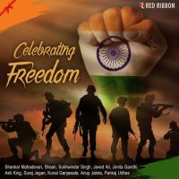 Vande Mataram Reverance Rajeshree Semant Song Download Mp3