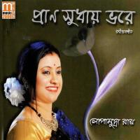 Chaya Ghonaiche Bone Bone Lopamudra Roy Song Download Mp3