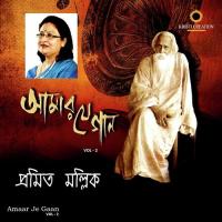 Ei Udashi Haowar Pothe Pramita Mullick Song Download Mp3