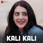 Aate Aate Dil Kisi Pe Aa Hi Jata Hai Satish Dehra Song Download Mp3