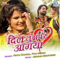 Dil Tujhpar Aagya Pintu Kharol,Piyu Mehra Song Download Mp3