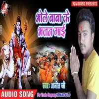 Bhole Baba Ke Bhajan Gayi Ajit Ji Song Download Mp3