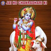 Krishna Chalisa Ketan Patwardhan Song Download Mp3