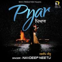 Puniya Na Char Katian Navdeep Neetu Song Download Mp3