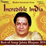 Banke Bihari Tere Naina Kajrare Nazar Na Lag Jaye Anup Jalota Song Download Mp3