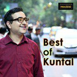 Phoolon Ke Rang Se Kuntal Chatterjee Song Download Mp3