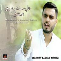 Misal E Mast E Qalandar Ghadeeri Jhoomte Hain Messam Tammar Haider Song Download Mp3