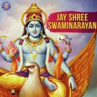 Vishnu Gayatri Mantra Ketaki Bhave-Joshi Song Download Mp3