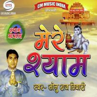 Mai Bhi Chalungi Shyam Ke Dham Re Sonu Raj Tiwari Song Download Mp3