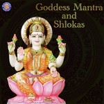 Lakshmi Gayatri Mantra Rajalakshmee Sanjay Song Download Mp3