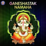 Ganesh Mantra Vighnesh Ghanapaathi,Gurumurthi Bhat,Shridhara Bhat Song Download Mp3