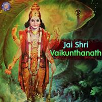 Narayan Hari Rajalakshmee Sanjay Song Download Mp3