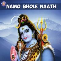 Om Namah Shivaya Vighnesh Ghanapaathi,Gurumurthi Bhat,Shridhara Bhat Vedadhara Song Download Mp3