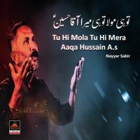 Tu Hi Mola Tu Hi Mera Aaqa Hussain A.s Nayyar Sabir Song Download Mp3