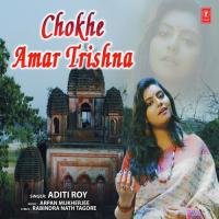 Chokhe Amar Trishna Arpan Mukherjee,Aditi Roy Song Download Mp3