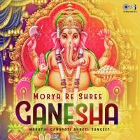 Mantra Pushpanjali (From "Aarti Sangrah") Sharad Jambhekar Song Download Mp3