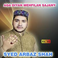 Mera Sohna Nabi Syed Arbaz Shah Song Download Mp3