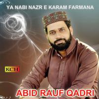 Sallo Alehy Abid Rauf Qadri Song Download Mp3