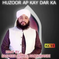 Ya Mustafa Ya Mustafa Sagheer Ahmed Naqshbandi Song Download Mp3