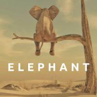 Elephant (Original Mix) Chipcat Song Download Mp3