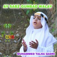 Ya Nabi Nazr E Kram Muhammad Talha Qadri Song Download Mp3