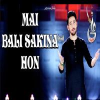 Main Baali Sakina Hon S.A Farhan Ali Waris Song Download Mp3