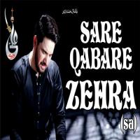 Sare Qabre Zehra Farhan Ali Waris Song Download Mp3