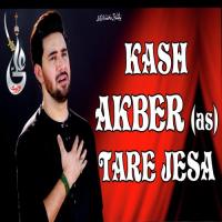 Kash Akbar A.S. Tere Jaisa Farhan Ali Waris Song Download Mp3