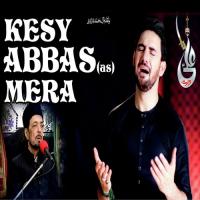 Kesay Abbas A.S. Farhan Ali Waris Song Download Mp3