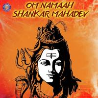 Om Jai Shiv Omkara - Shankar Aarti Ketaki Bhave-Joshi Song Download Mp3