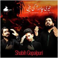 Al-Tashaan Shabih Gopalpuri Song Download Mp3