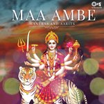 Shri Durga Chalisa (From "Durga Chalisa Durga Kawach") Narendra Chanchal Song Download Mp3